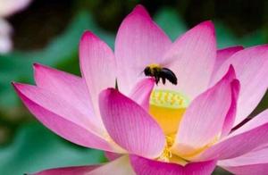 Division achieve board investment gets ready wait 