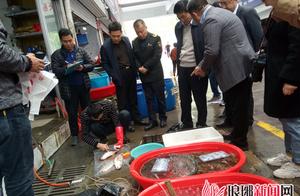 Sampling observation of food of class of city of Linyi of safeguard food safety will amount to 20 th