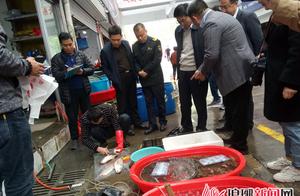 Sampling observation of food of class of city of L