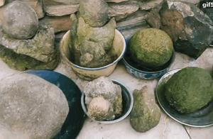 Does Zhu Jifa show doubt to be like dinosaurian egg fossil? Can incision still see yoke?