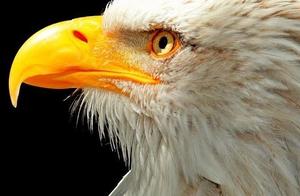 Ren Zhengfei: The responsibility of controller of 