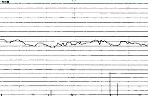 The tip holds dish of hand to uncover secret: "En