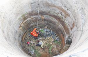 Old person of 7 a period of ten days irrigates the