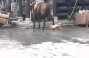 The net exposes to the sun some play staff pats pl