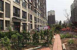 Namely Mogaodi? Mo Xiangjun is violated build seri