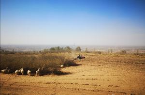 The loess affection charm with unbeknown North Sha