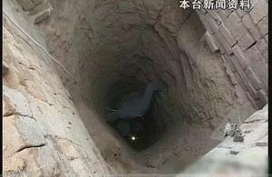 Jing of the outskirt austral Xi'an shows infreque