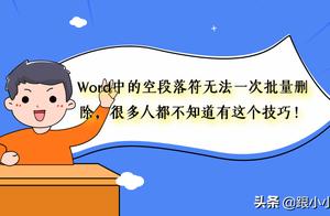 word2014分隔符 word里的段落分隔符是什么