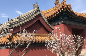 Harbin, in spring 