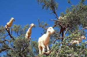 Moroccan unusual wonderful view 