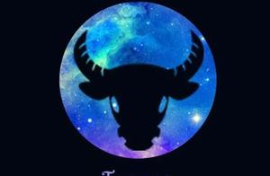 Why to suggest you and taurine Tan Lian love?