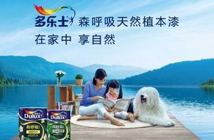 Brands of 10 big emulsioni paint are ranked