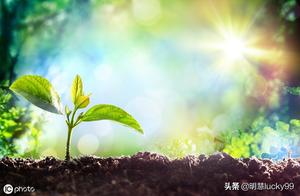 Invalid and gregarious, as silent be in alone