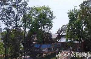 Absolutely beautiful! 1000 museum predict magnify 