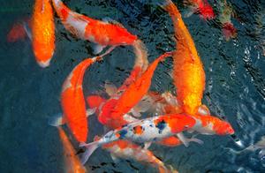 Of have a change of luck lucky atlas of bright and