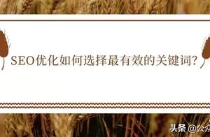 网站关键词软件 网站关键词优化软件