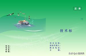 软件项目投标说什么 软件项目投标书中的技术方案怎么写