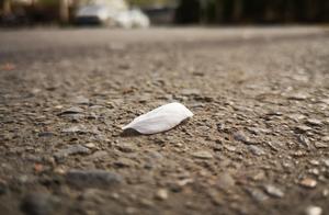 Neither of life of all the different kind is easy