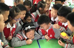 Organize egg bag, play a bottle of egg, this eleme