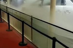 Fierce, shanghai car exhibits the abundant croplan