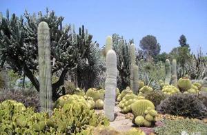 [achieve formerly] issue of travel of experience of holiday go on a journey, tourist should how does