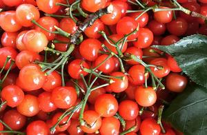 Chun Xia period most " action bug " 4 kinds of f