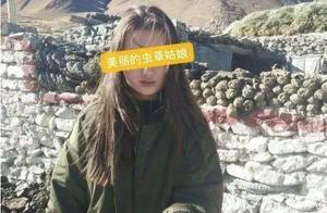 "Girl of Chinese caterpillar fungus " be capture