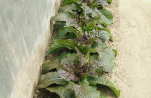 The country is treasure everywhere