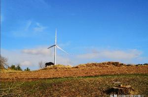 Project of problem of countrywide fish so much, re