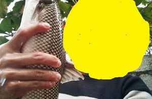 River of another name for Nanning shows new finger