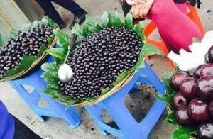 Even the fruit can " make a holiday " ? These tw