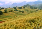 Xi'an is hiding unexpectedly below blue cropland 