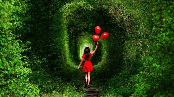 小学生作文：游记怎么写