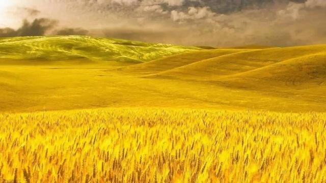 诉说委屈的作文300字