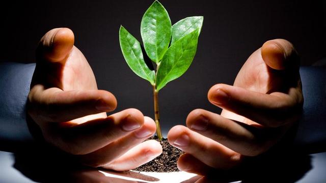 在关爱中成长 作文 200字