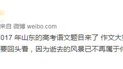 作文;回头看的提纲