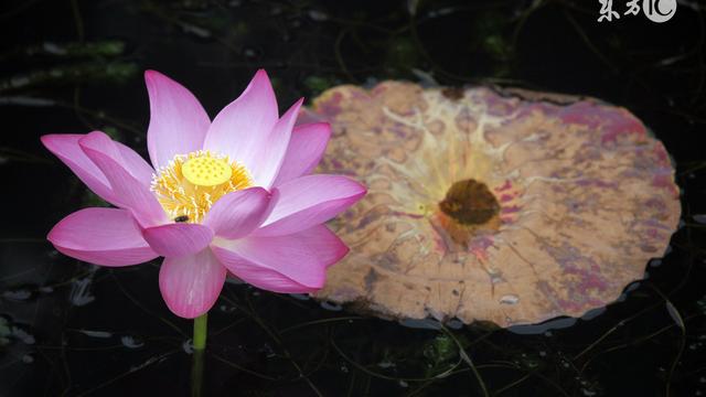 2017年陕西省高考理科考哪些科目