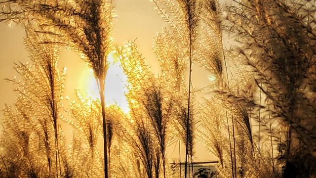 需要一些新材料作文题目，高考难度的。谢谢。