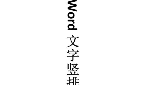 在word里面怎么设置把字竖着打出来