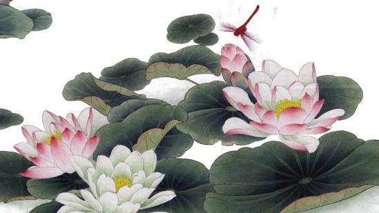 植物类状物作文