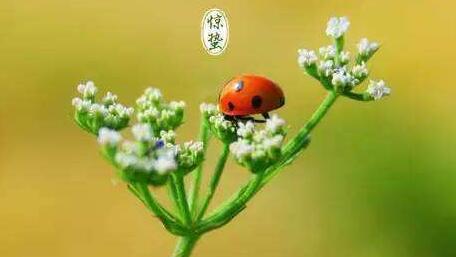 ݹʫھݵĹʫЩ