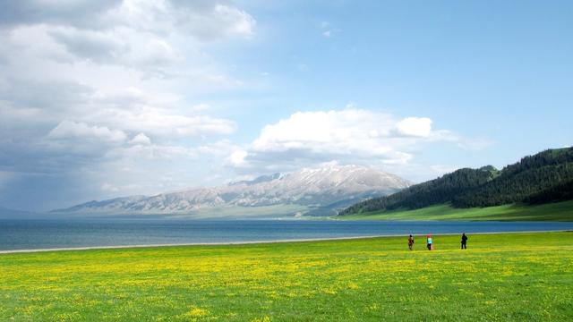 观察下雨的作文500字