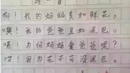 作文：产品说明书（写自己的）