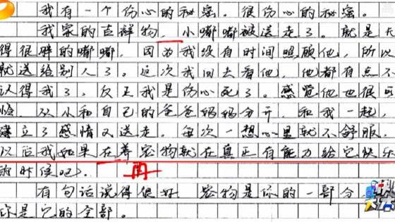 我有个秘密作文1000字