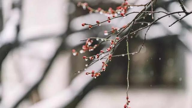 描写冬天雪的古诗大全