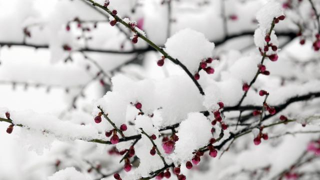 一个能和感飘作人组成词的字是啥字