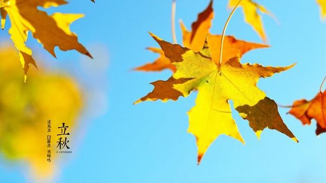 描写秋天相遇的诗句有哪些？
