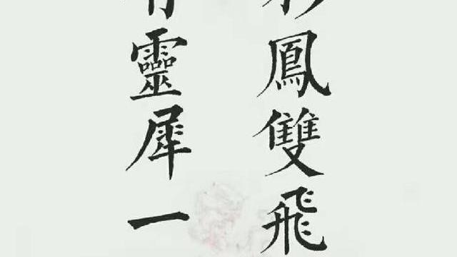 鷨ƷͼƬ(˸)