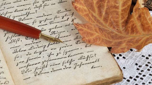 中考满分作文中的好词好句