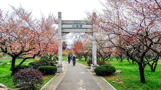 漢陽磨山港灣3期磨山新天地房價多少？